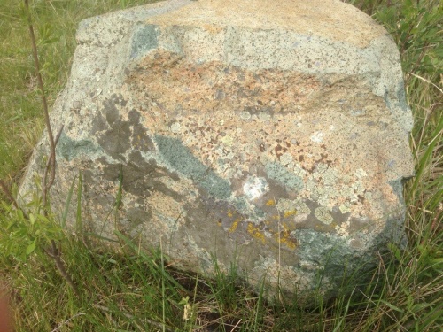 Гигантские зелёные валуны для ландшафтного дизайна весом более 5 тонн купить в Горно-Алтайске